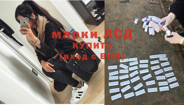 шишки Алексин