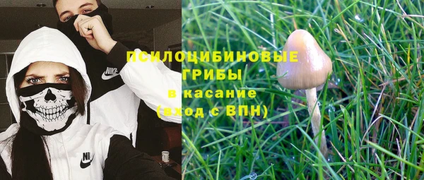шишки Алексин