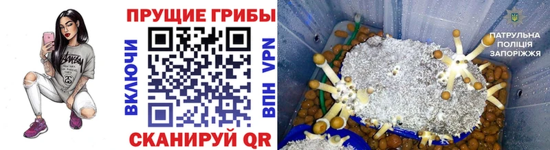 Галлюциногенные грибы Cubensis  Арзамас 